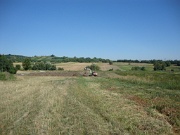 Erdarbeiten Sportplatz Neu 005